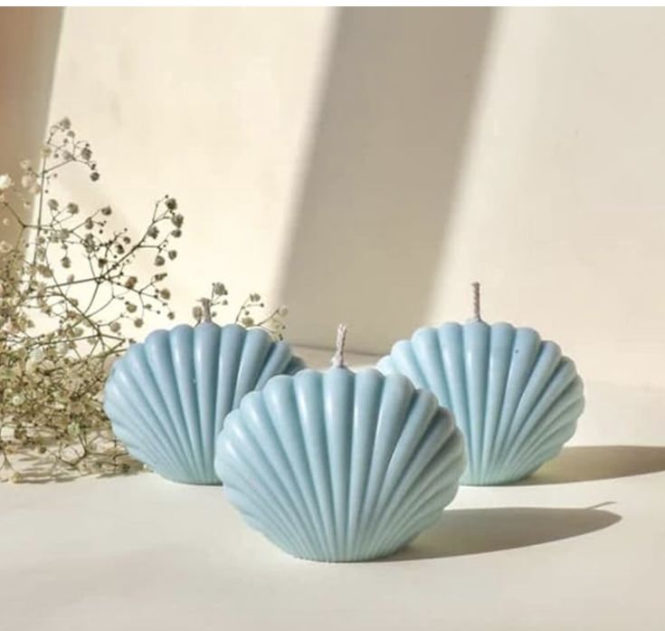 Shell Candle